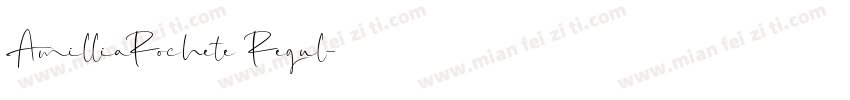 AmilliaRochete Regul字体转换